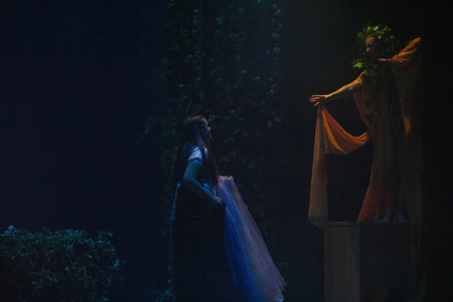 _MG_2099